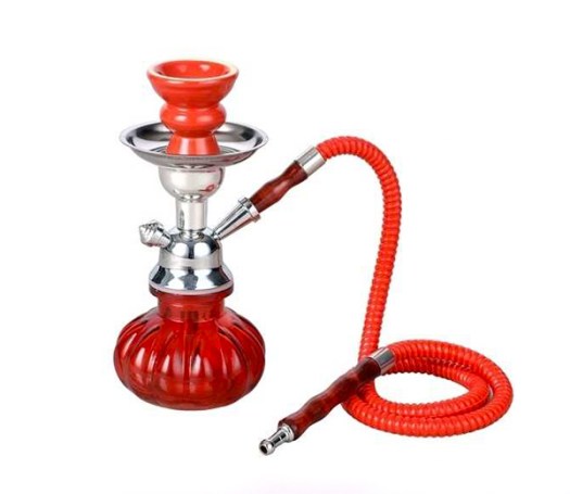 Pumpkin Shisha Rood 1 slang - Waterpijp-bong.nl